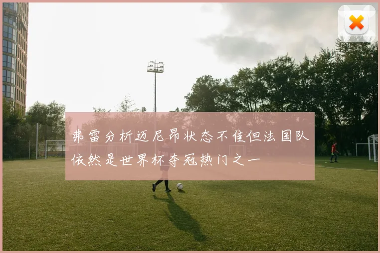 弗雷分析迈尼昂状态不佳但法国队依然是世界杯夺冠热门之一